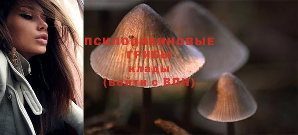 СК Балахна