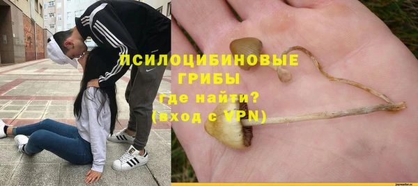 СК Балахна