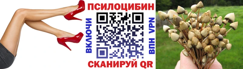 Псилоцибиновые грибы Psilocybe  Пятигорск 